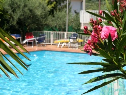 pool and oleanders Villa Rosa